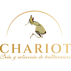 Chariot Criadero de Bullterriers